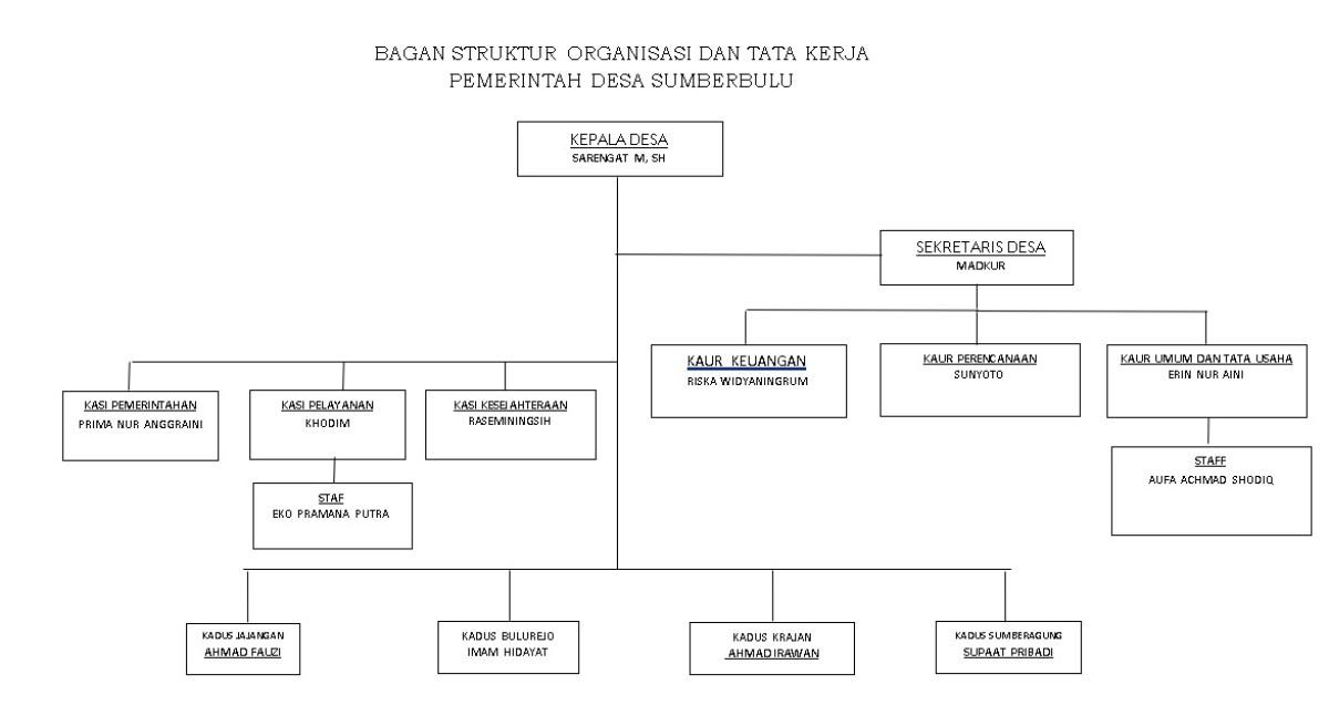 Struktur organisasi Desa