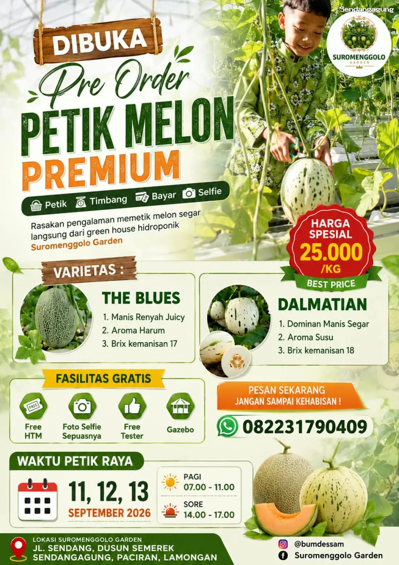 Melon Suromenggolo