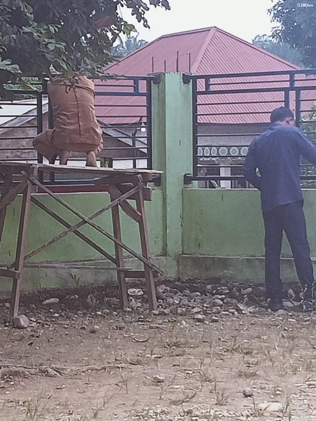 Berita 29