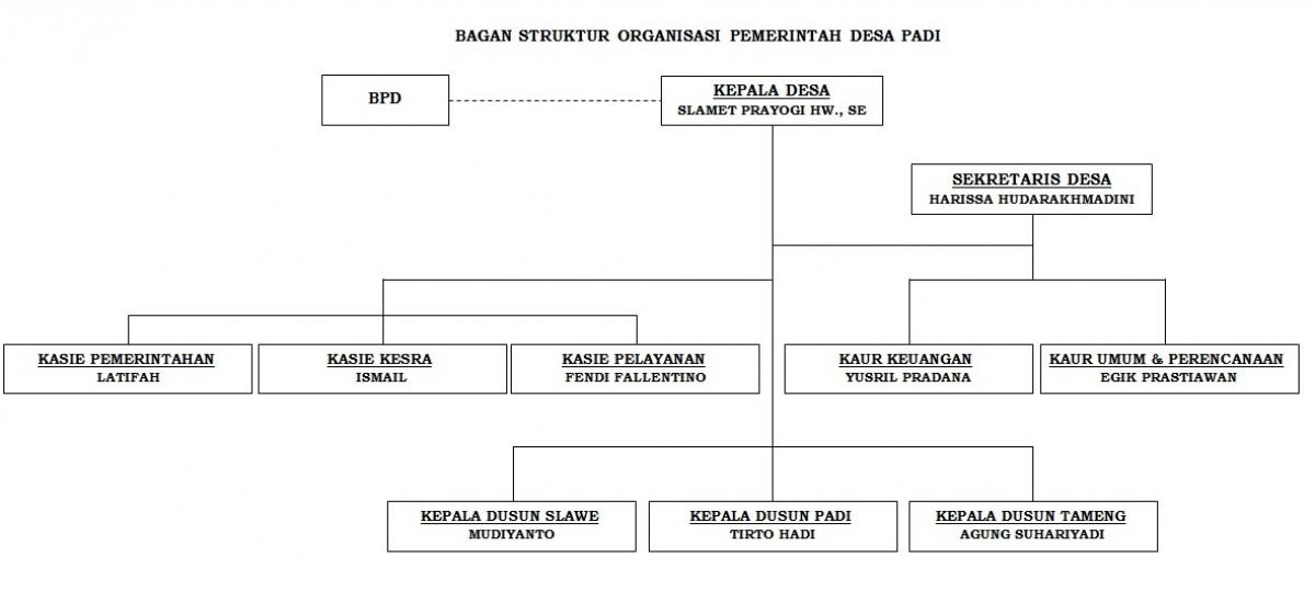 Struktur organisasi Desa