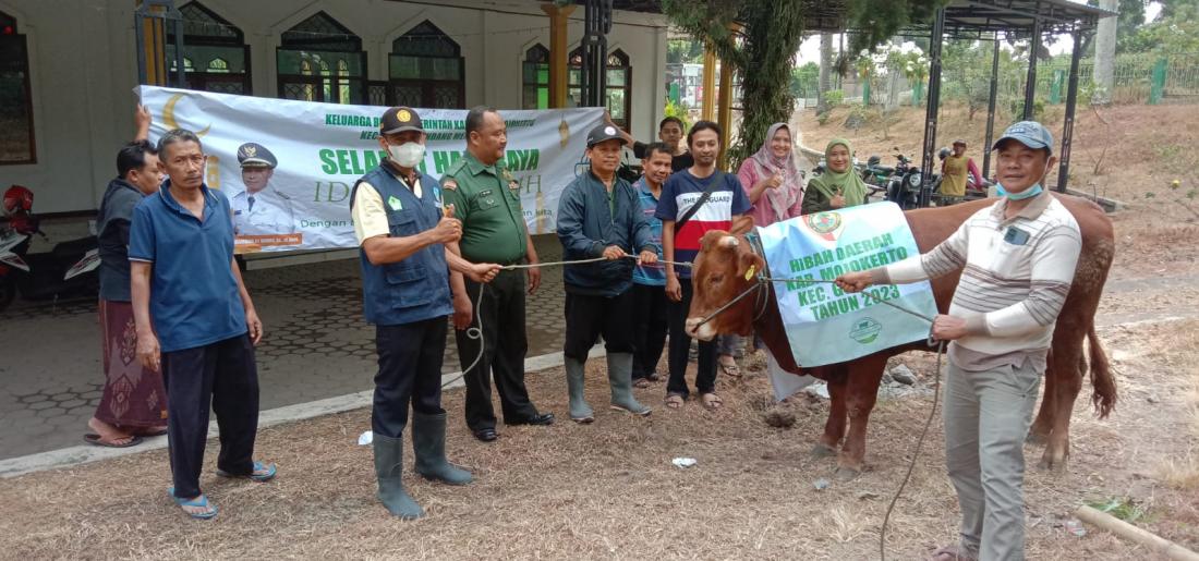 penyerahan-bantuan-hibah-sapi-qurban-oleh-pemerintah-kabupaten-mojokerto
