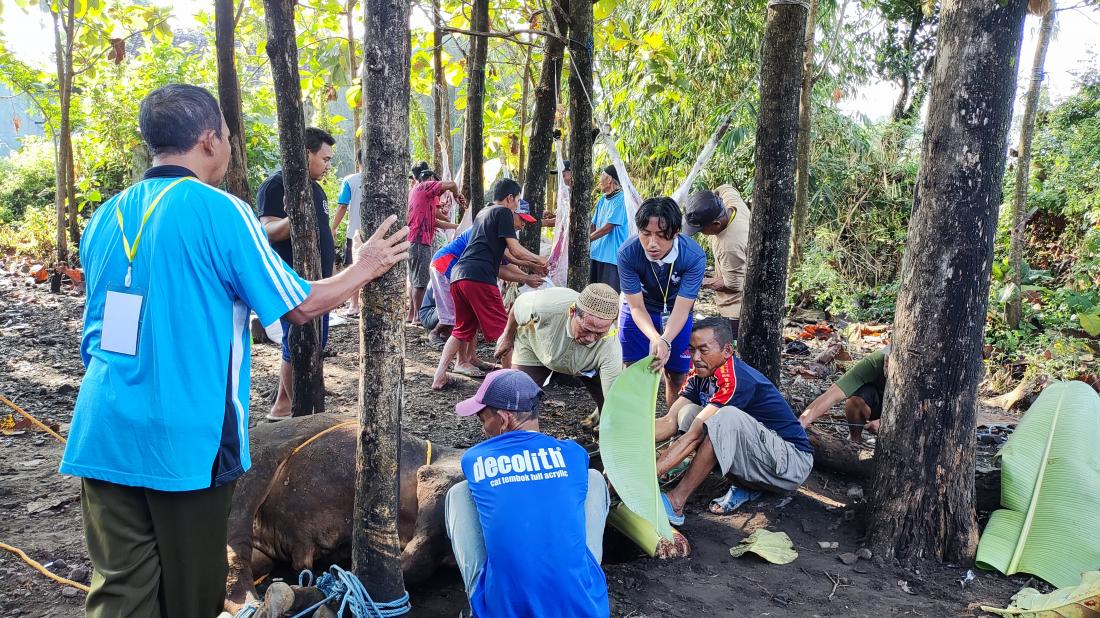 pelaksanaan-penyembelihan-hewan-qurban-di-dusun-padi