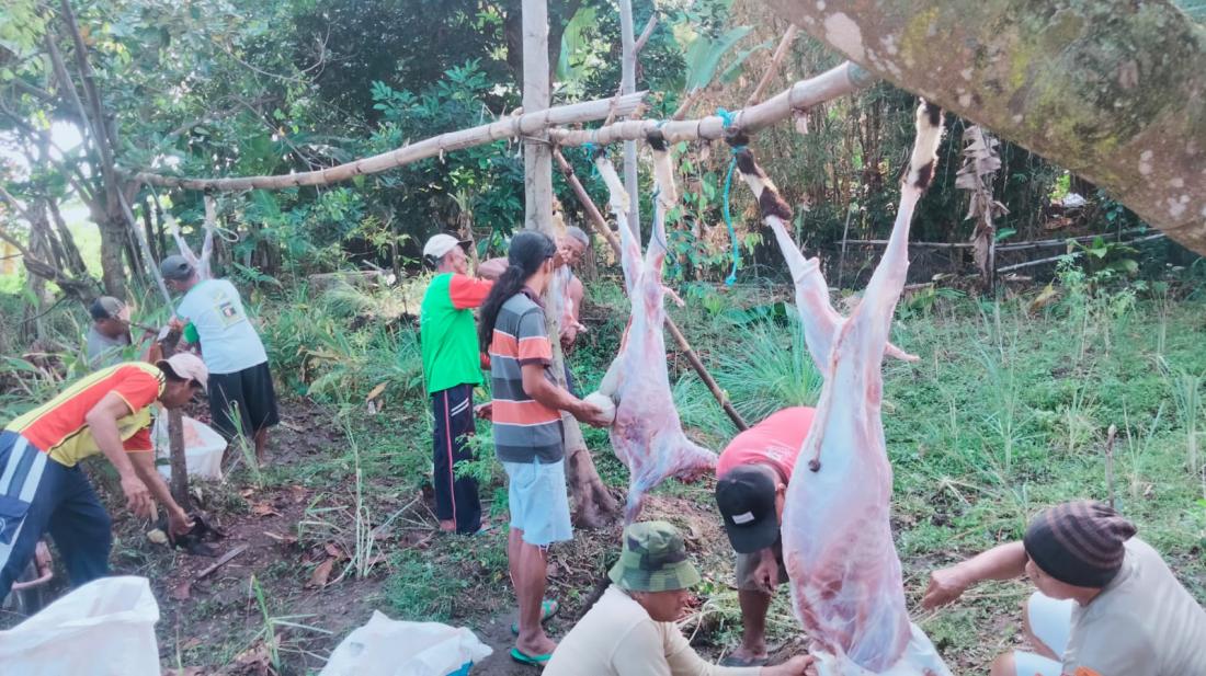 pelaksanaan-penyembelihan-hewan-qurban-di-dusun-tameng