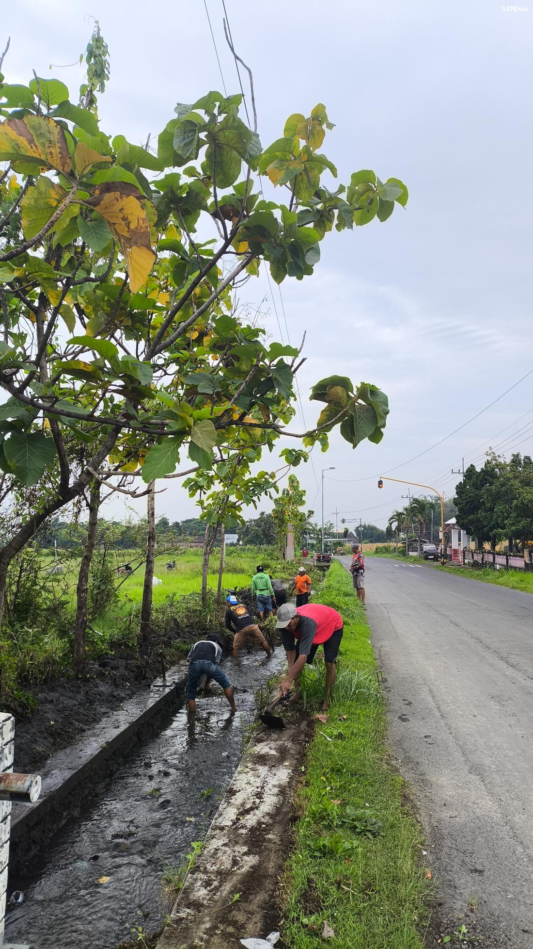 kegiatan-padat-karya-tunai-desa