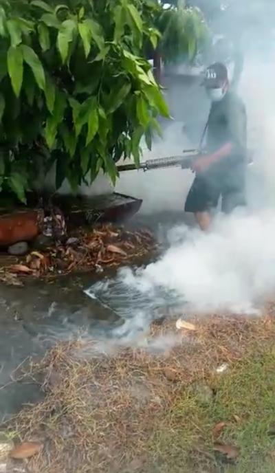 giat-fogging-desa-padi