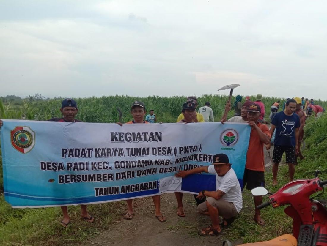 kegiatan-pktd-padat-karya-tunai-desa-desa-padi-saluran-irigasi-dusun-slawe