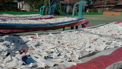 keunggulan-tepung-mocaf-dari-tepung-lainnya