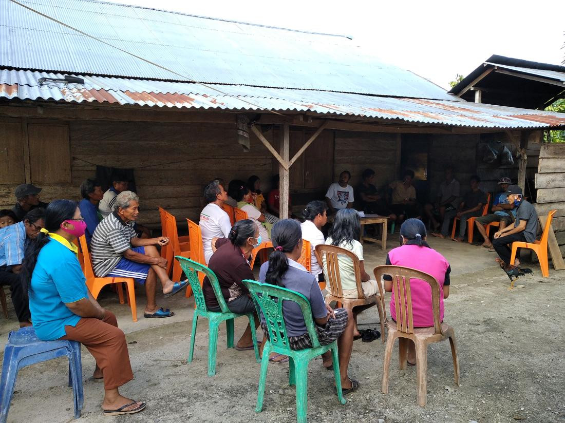 bantuan-bibit-ternak-babi-dari-pemdes